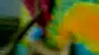 النجم المصرية الساخنة دينا في فيديو إباحي صريح