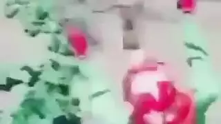 فيديو عنيف: تحلق فرجها ثم تُمارس معها الجنس بعمق