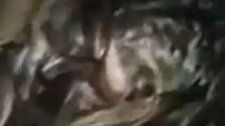 سكس محارم عربgayvm10x7m4g