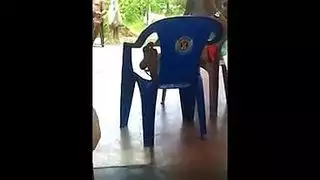 فلام سكسي اليلى عالوي