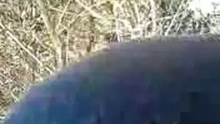 سوريه تفرك الزب