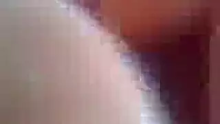 شيكورتي سكس جزائري