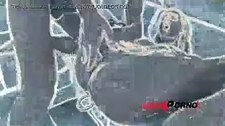 شمام غش شد الشعر