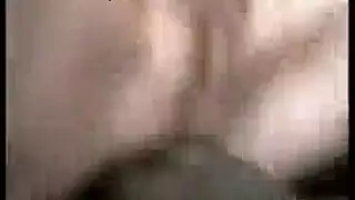السيولة النقدية الملا طفة الديك ضخمة